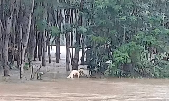 Tìm thấy thi thể người đàn ông sau hơn nửa tháng mất tích ở TT-Huế