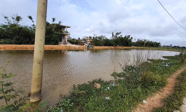 Đấu giá đất thu tiền tỷ dùng trả nợ rồi ‘đem con bỏ chợ’?