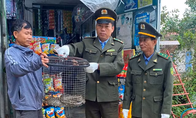 Phát hiện con vật quý hiếm bò vào vườn nhà ở Huế