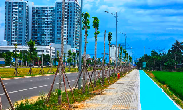 Huế sơn xanh nhiều cây số vỉa hè để làm gì?