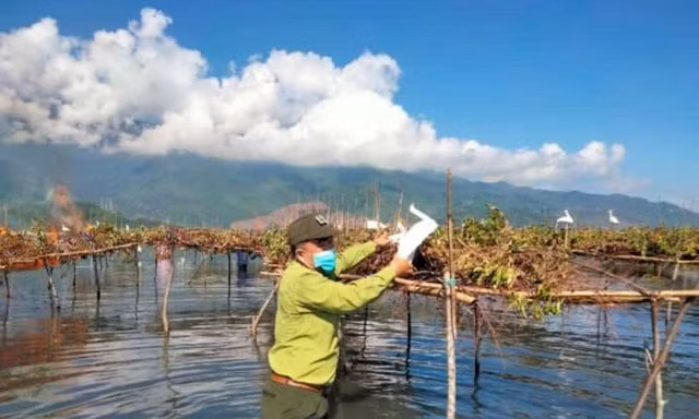 Cán bộ kiểm lâm tại TT-Huế tổ chức thu gom và tiêu hủy các dụng cụ dùng bẫy bắt các loài chim hoang dã