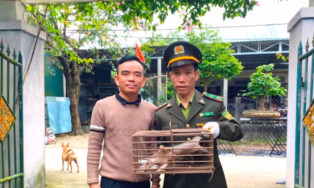 Con vật lạ nghi thú quý hiếm đi lạc vào vườn nhà dân
