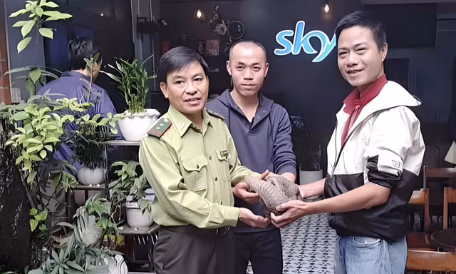 Giao nộp cá thể động vật hoang dã quý hiếm có hình thù lạ chạy lạc giữa phố
