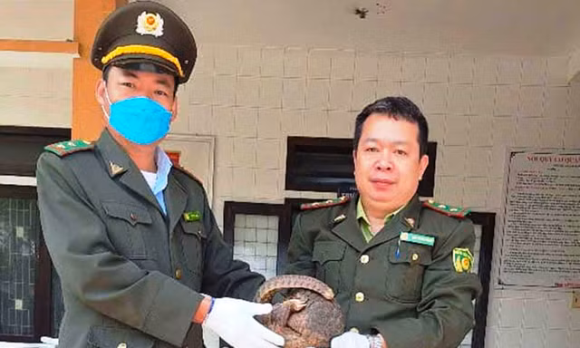 Giải quyết xong vụ cán bộ kiểm lâm bị chậm lương 3 tháng 