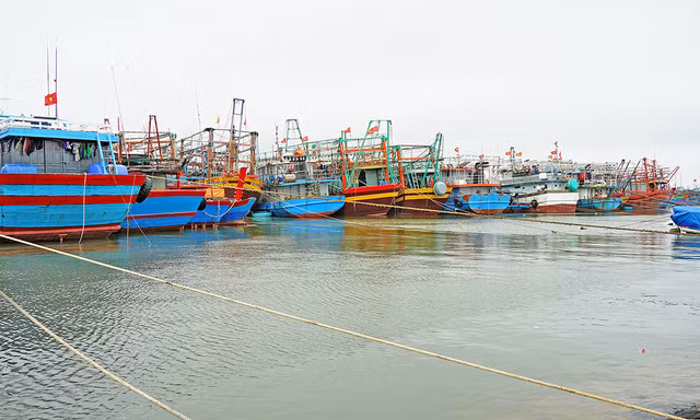 Mùa đánh cá sắp vào vụ nhưng nhiều tàu cá Quảng Trị không thể ra khơi