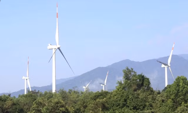 Đề xuất xử lý sai phạm liên quan đến vụ 21 trụ điện gió