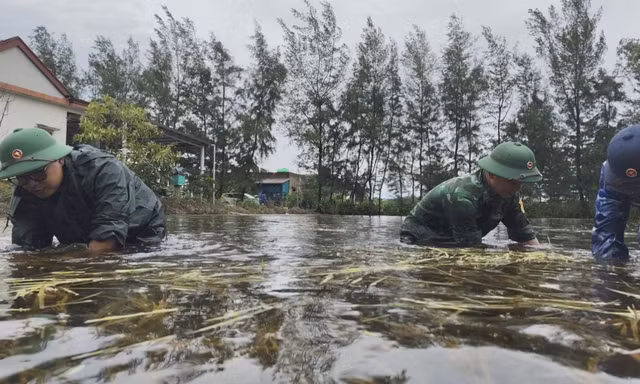 Bộ đội giúp người dân vùng biên khắc phục hậu quả mưa lũ