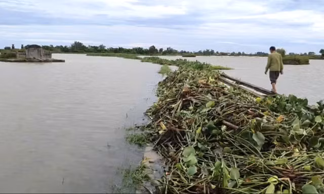 Đi tìm vịt trên đồng, người đàn ông ở Quảng Trị chết đuối