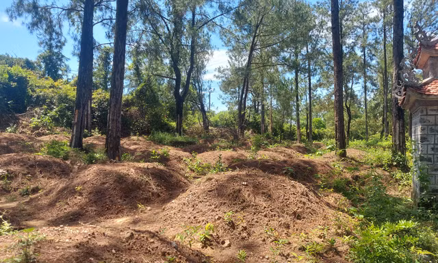 Lập mộ giả để chờ giải tỏa đền bù