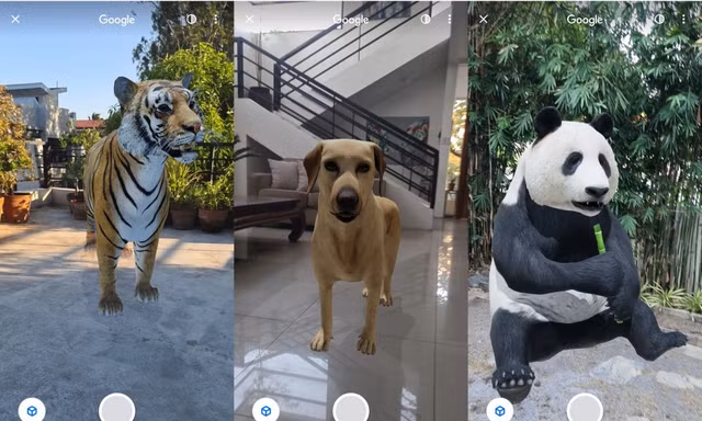 Nuôi thú ảo 3D siêu cưng chỉ với một “cú click” trên Google, bạn đã biết cách chưa?
