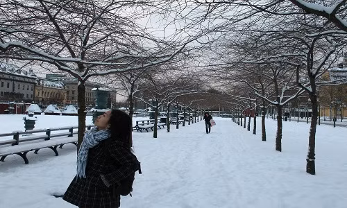 Giải mã “hội chứng Stockholm”: Tại sao tôi lại yêu và mê Stockholm đến vậy?