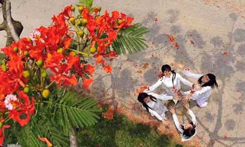 Cuộc thi viết Trà sữa cho tâm hồn: Những tháng năm rực rỡ 