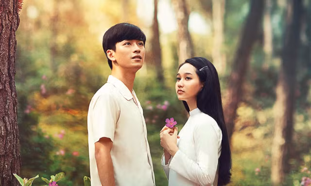 Cuộc thi viết Trà sữa cho tâm hồn: Chậu sen đá và mối tình đầu của tôi