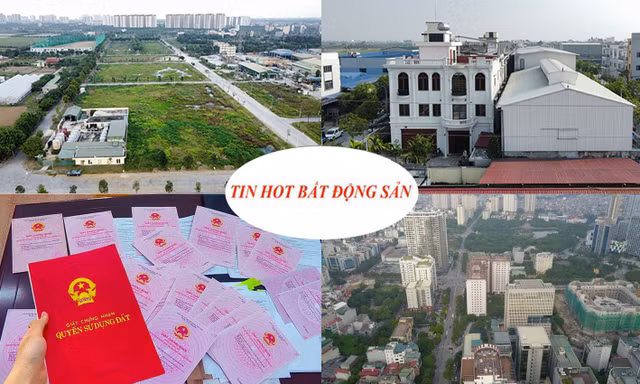 Đấu giá đất khởi điểm 250 triệu/m2 gây 'choáng', đất không giấy tờ sẽ được cấp sổ đỏ thế nào?