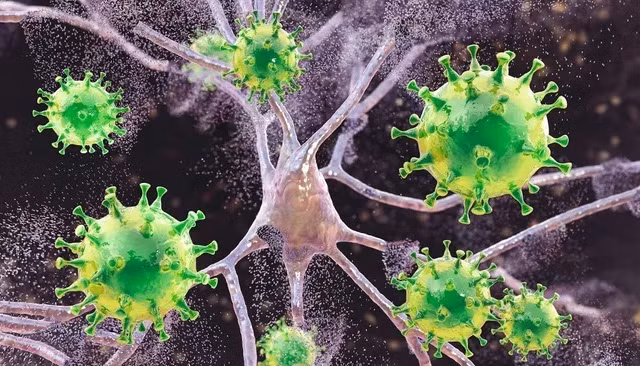 Có thể tiêu diệt được ổ HIV ẩn náu trong cơ thể con người ? 