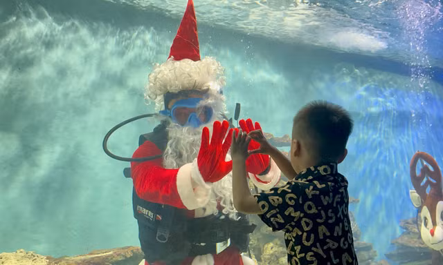 Ông già Noel 'tung tăng' trong bể cá tại Nha Trang
