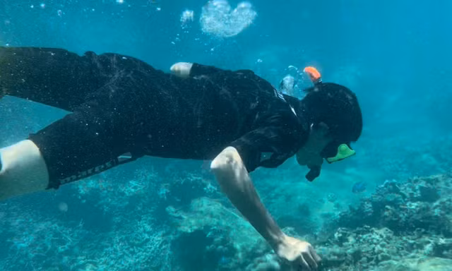 San hô “chết trắng” khu vực đấy biển gần Hòn Mun. Ảnh LỮ HỒ.