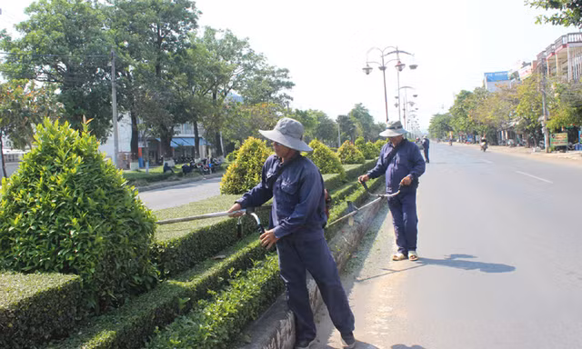 Bộ Công an yêu cầu cung cấp hồ sơ 30 dự án cây xanh ở Phú Yên