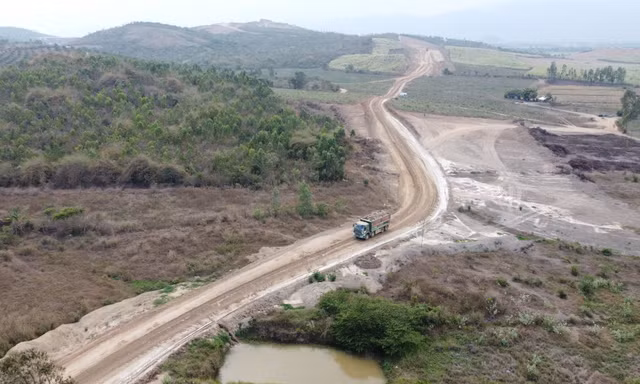 Người dân trồng hàng chục nghìn cây mai trên dự án cao tốc Khánh Hòa - Buôn Ma Thuột