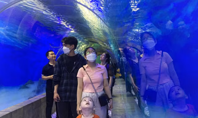 Đường hầm xuyên núi Cảnh Long