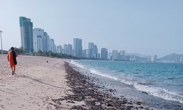 Dầu vón cục trôi vào bãi biển Nha Trang. Ảnh L.H