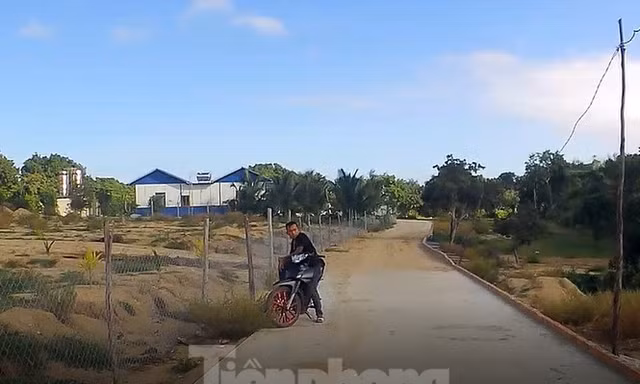 Khởi tố chủ trang trại xây dựng trái phép trên núi Hòn Rồng