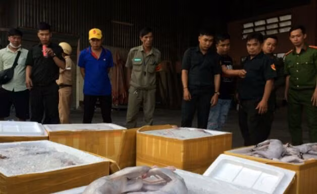 Phát hiện xe khách chở hàng tấn thịt mèo thối 