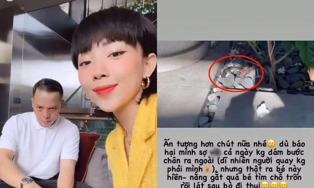 Tóc Tiên khoe "thế giới động vật" ở biệt thự triệu đô, không dám ra vườn cả ngày vì sợ rắn