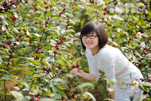 Giới trẻ đổ xô chụp ảnh cùng hoa lạ