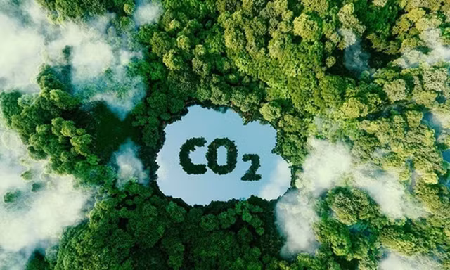 Lộ trình để Việt Nam bán tín chỉ carbon ra thế giới 