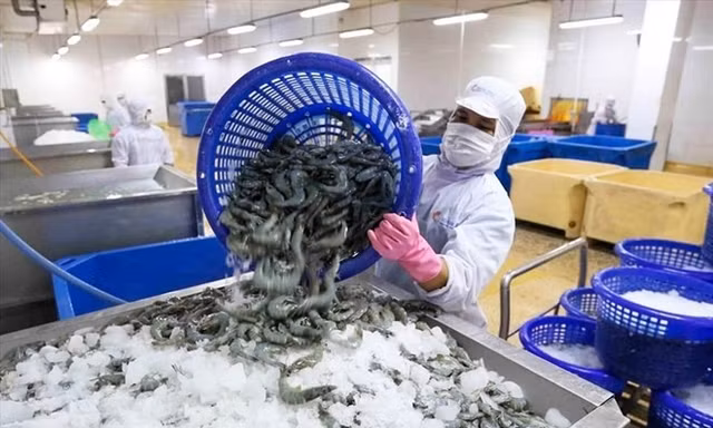 'Bơm' 100.000 tỷ đồng cho doanh nghiệp nông, lâm, thủy sản 