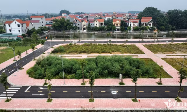 Nóng bỏng tay nghề 'đấu giá bán chênh', độc chiêu thổi giá đất