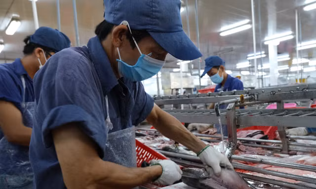 Quá nhiều nghịch lý về bảo hiểm nông nghiệp