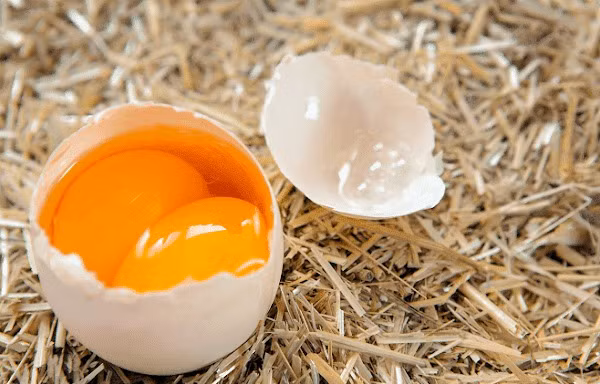 Đề nghị Bộ Công an điều tra, xử lý tin đồn trứng giả gây hoang mang