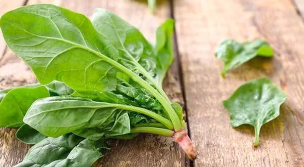 Rau chân vịt ngừa ung thư, cực bổ dưỡng nhưng cũng có thể gây hại đủ đường nếu ăn sai cách
