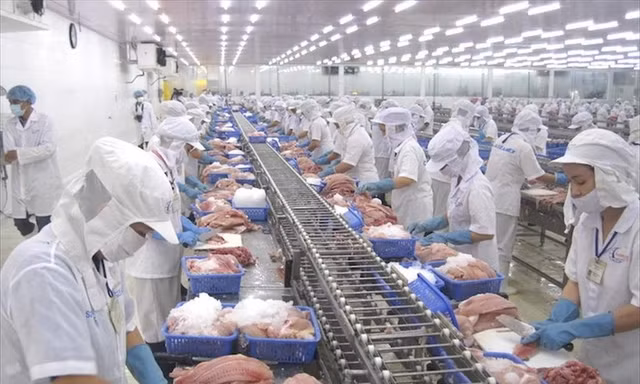 Việt Nam vừa thu 28 tỷ USD nông sản, khách nào 'sộp' nhất?