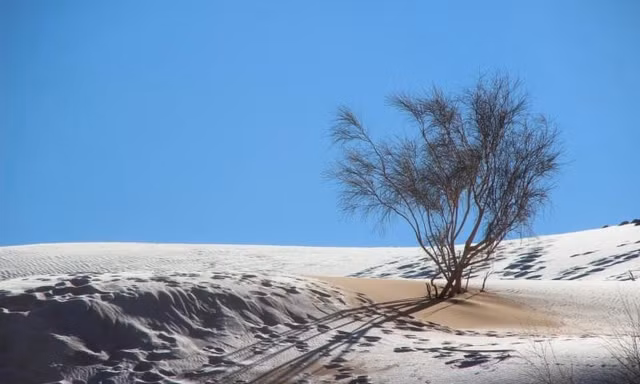 Cảnh tượng cực hiếm: Băng tuyết bất thường phủ trắng sa mạc Sahara