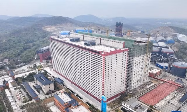 Đề xuất xây 'chung cư' cho... lợn 