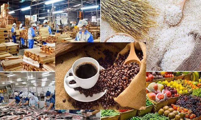 Lộ diện 'ngôi sao' sáng nhất của nông sản Việt Nam