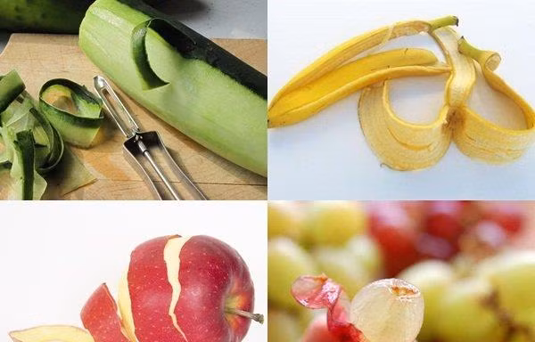 Vỏ trái cây thường bị vứt đi, nhưng những quả này ăn vỏ tốt gấp nhiều lần so với ăn ruột