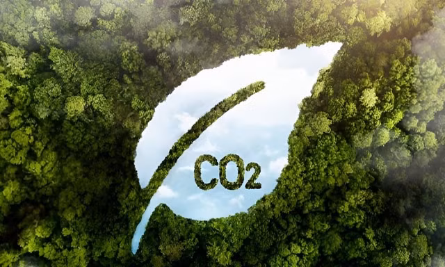 Việt Nam thí điểm sàn giao dịch carbon trong năm nay