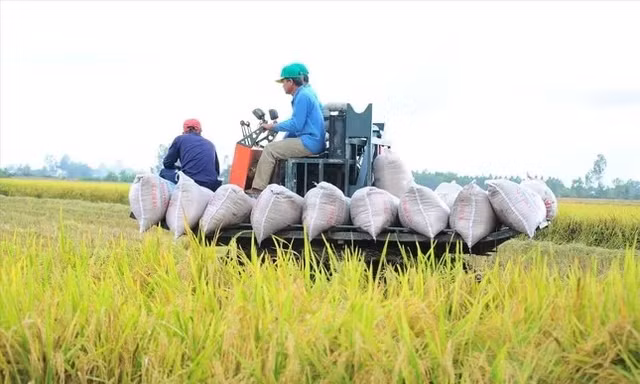 Việt Nam thu về 33,8 tỷ USD từ xuất khẩu nông sản, giao thương với Mỹ tăng mạnh