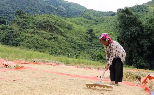Hỗ trợ bà con dân tộc thiểu số xã biên giới thoát nghèo bền vững