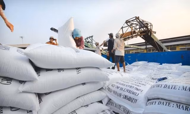 Giá gạo Việt xuất khẩu tăng, vượt qua Ấn Độ