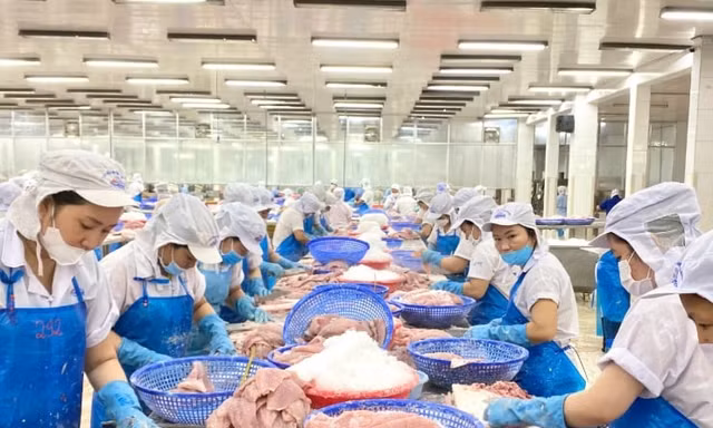 Nước nào tiêu thụ cá tra Việt Nam lớn nhất thế giới? 