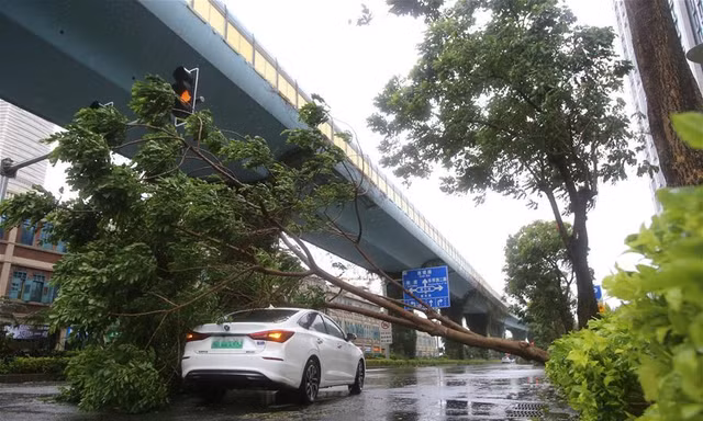 Bão Mekkhala đổ bộ Trung Quốc, thổi bay nhà cửa với sức gió cực mạnh