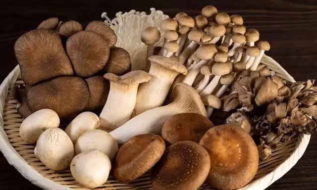 Khi ăn nấm, nhớ cho kỹ những lưu ý này kẻo ngộ độc chết người