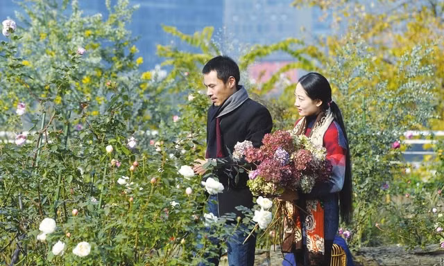 Vườn hồng trên trời không cần đất lớn nhất