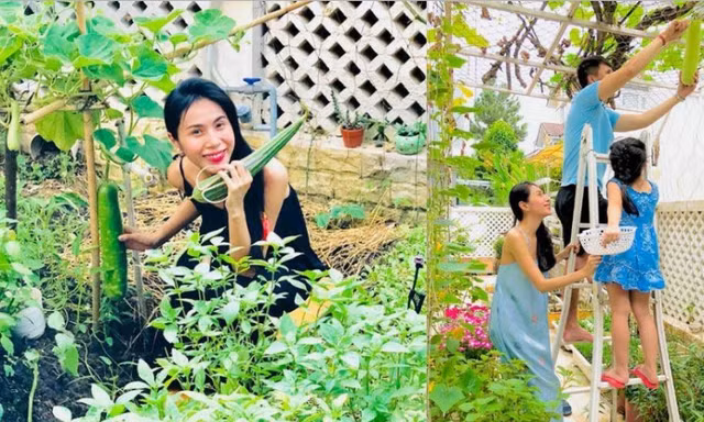 Khu vườn đủ thứ rau quả sạch trong biệt thự của Công Vinh - Thủy Tiên