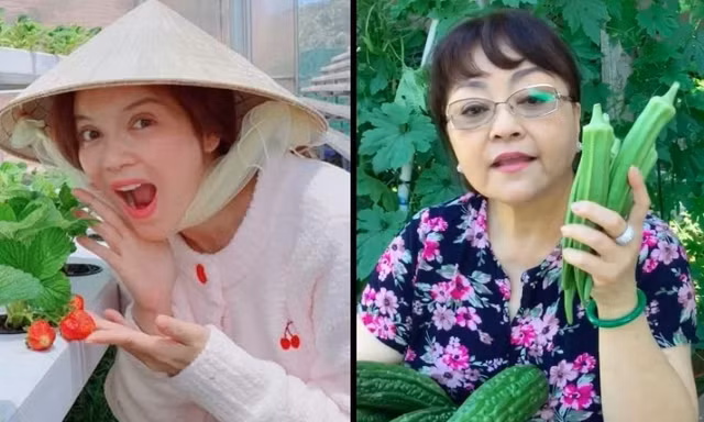 Vườn rau quả của các sao Việt